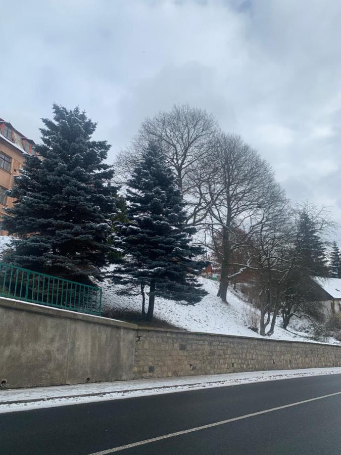 Apartman V Krusnych Horach-Free Parking 야히모프 외부 사진